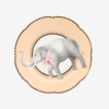 Yvonne Ellen ANIMALS FİLLİ TABAK 16 cm